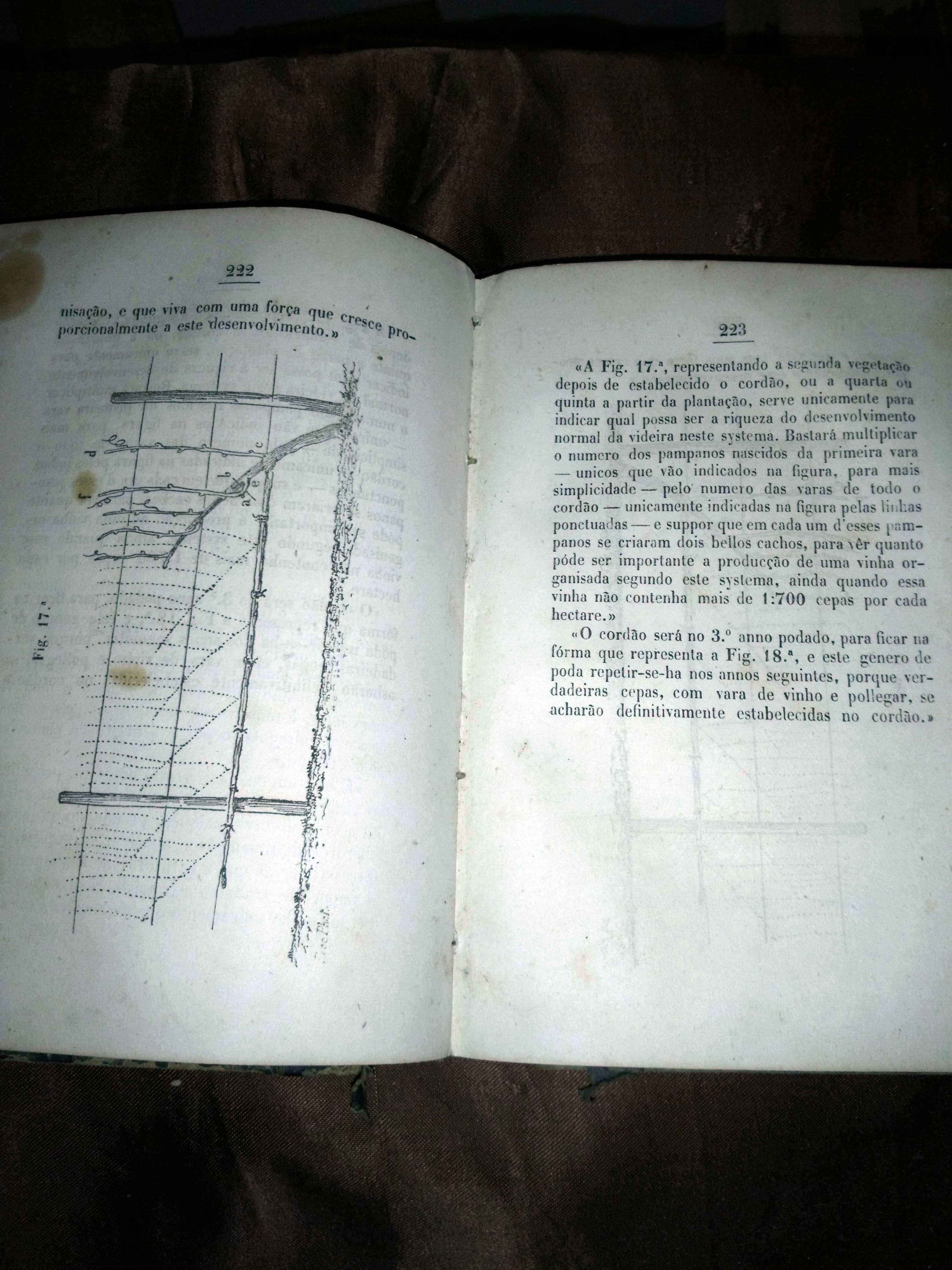 MANUAL DE VITICULTURA PRÁTICA - Visconde de Villa Maior (1881)