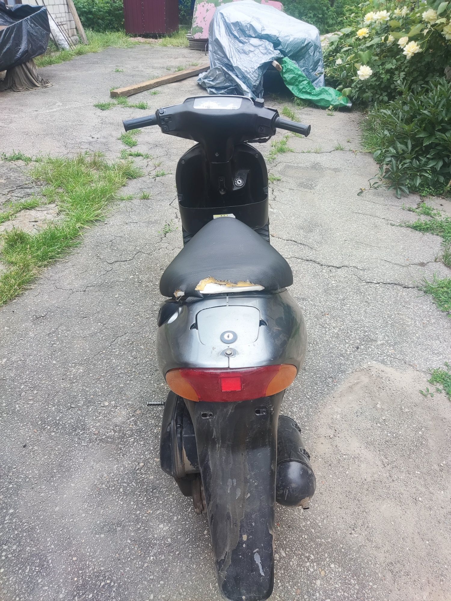 Suzuki lets 2 бабочка