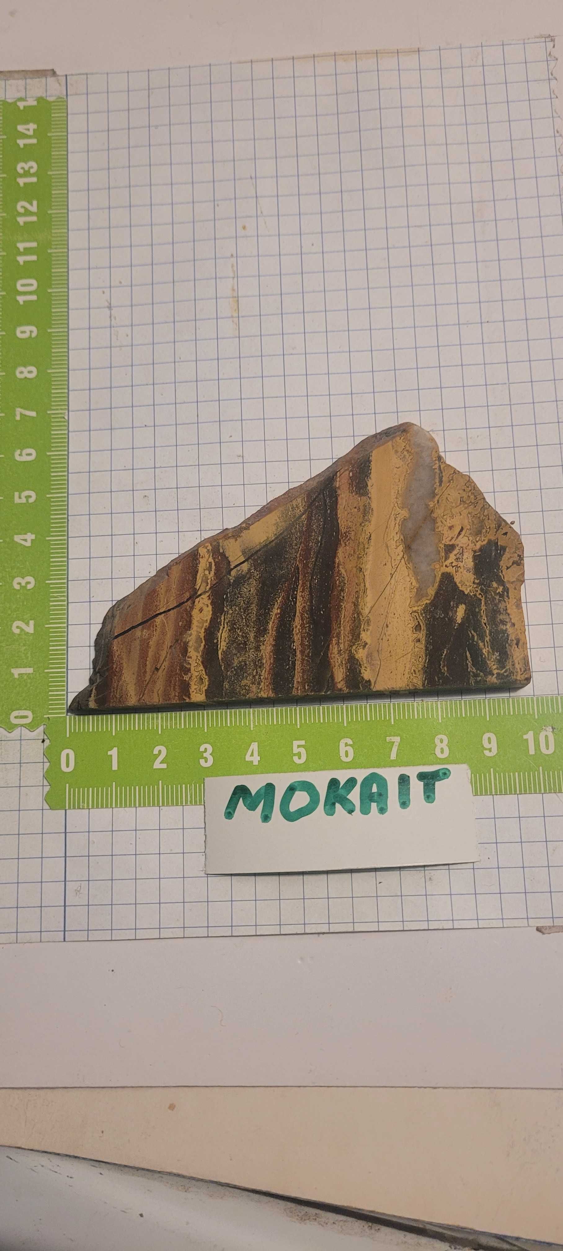 Minerały skamieliny