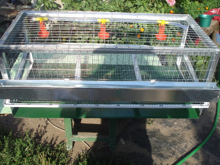 клетка для перепелов 30 шт.