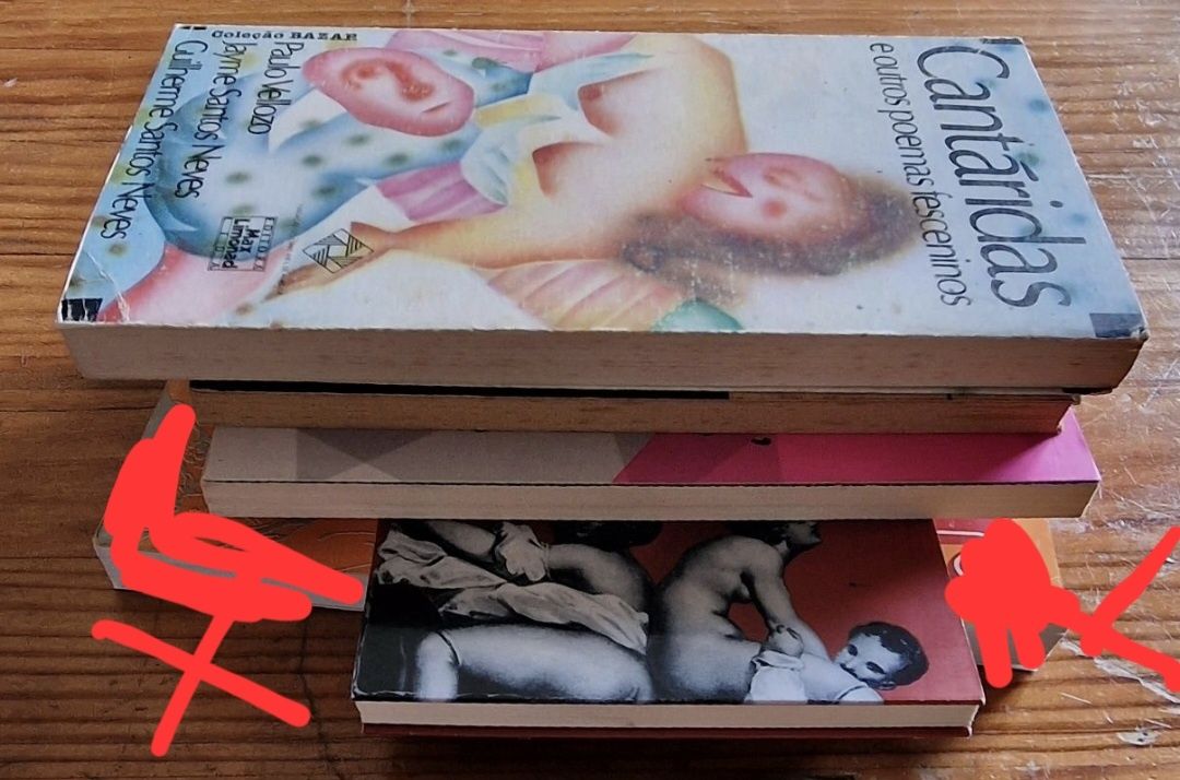 Livros de Marquês de Sade, Apollinaire, Bocage e Velloz "Cantáritas"