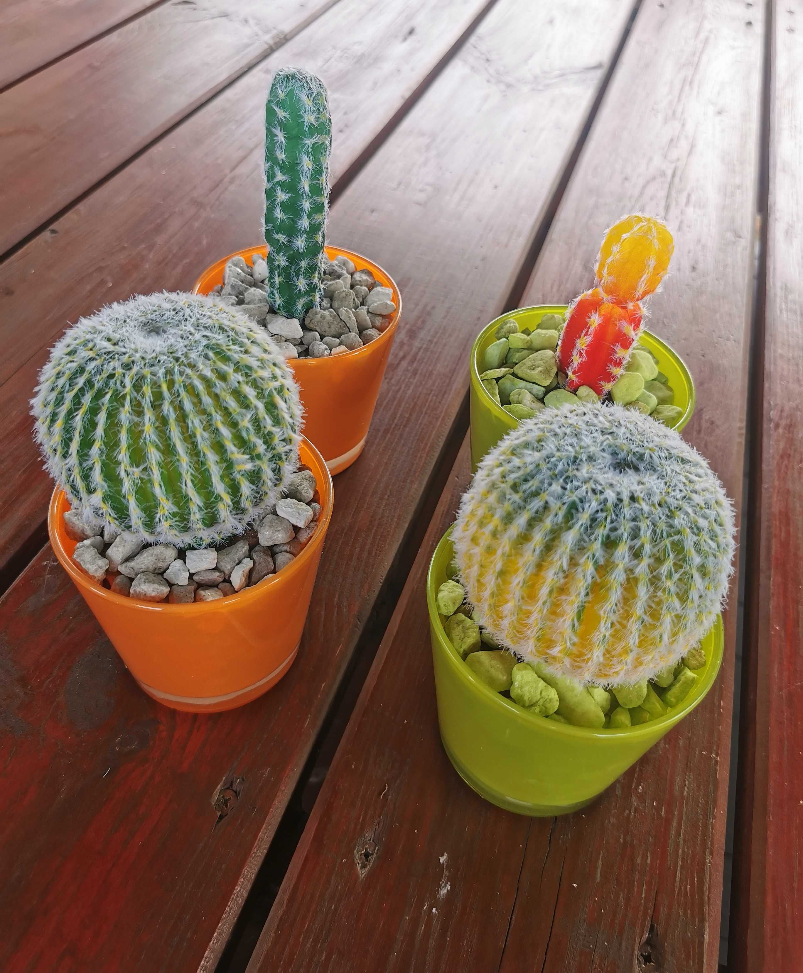 Kaktus dekoracyjny DIY