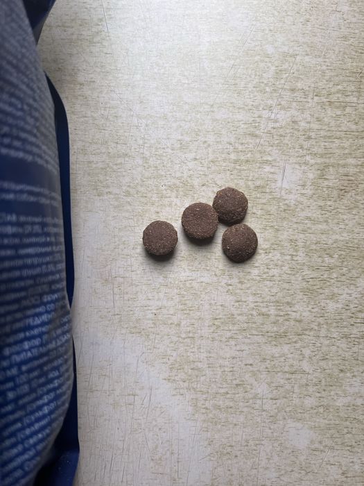 Karma Baltica łosoś 3kg