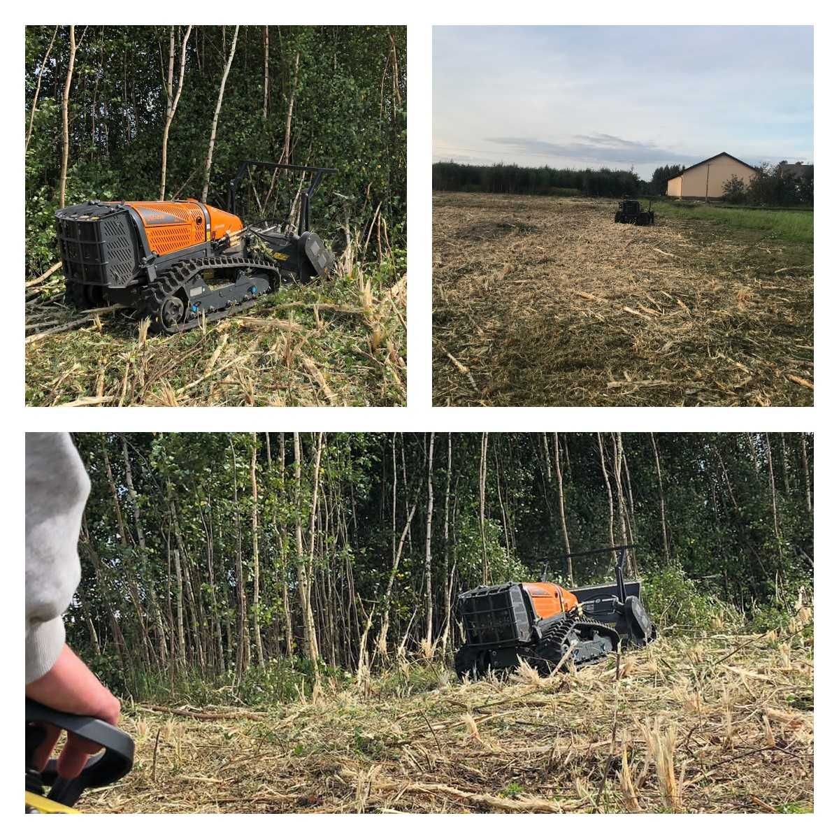 Mulczer koszenie karczowanie wycinka czyszczenie samosiejki zarośla