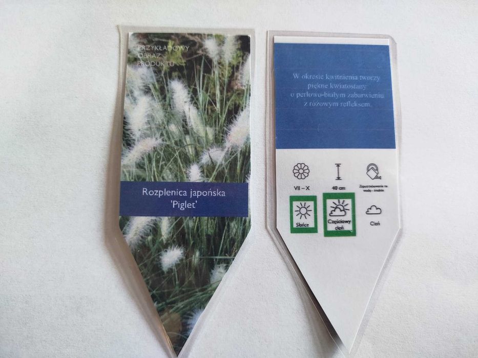 Trawa ozdobna Rozplenica japońska Piglet, wysyłka gratis!!