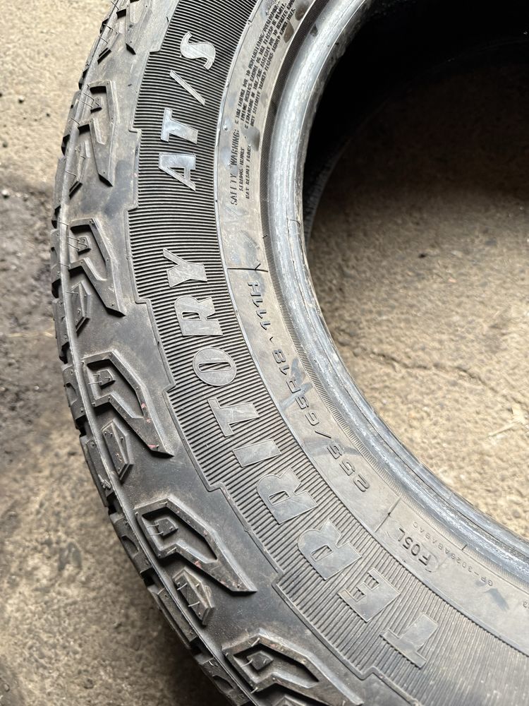 255/65 R18 Goodyear Wrangler Territory AT/S 2шт. 7,5мм 2023