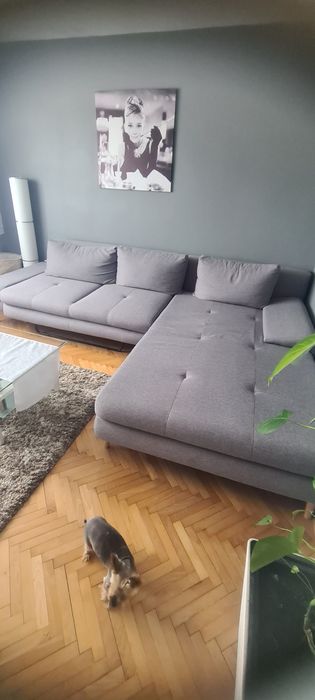 Kanapa narożna dużą Szara   rok użytkowana a