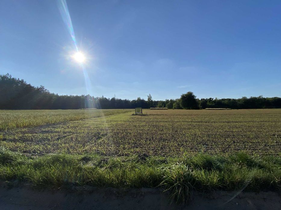 Działka Rosanów 3000 m2  |  35 zł/m2