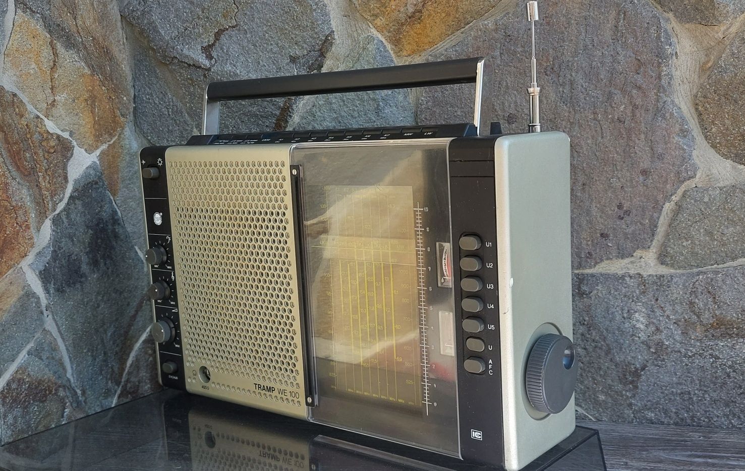 Tramp WE -   100