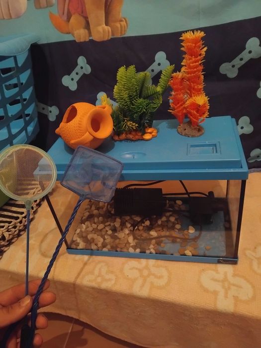 Vendo muito bom estado