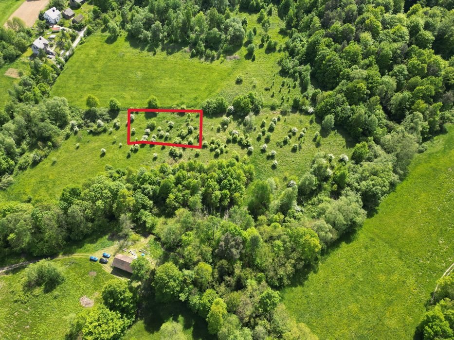 Sprzedam działkę rolną w Wola Nieszkowska gmina Bochnia