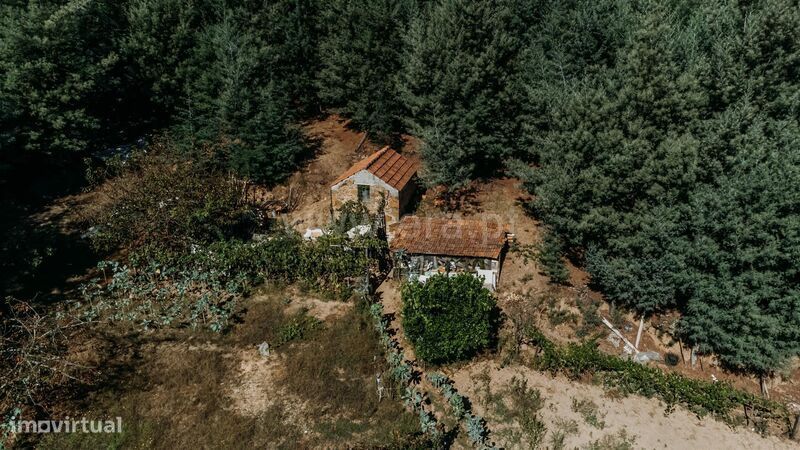 Terreno Rústico / Oliveira do Hospital, Lagos da Beira e Lajeosa