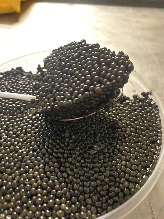 Чорна ікра (чёрная икра) 350г