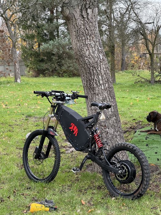 Rower elektryczny na ramie bearebike russel