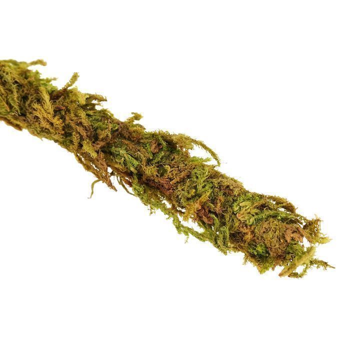 repti-zoo liana z naturalnym mchem 1,5cm x 2m
