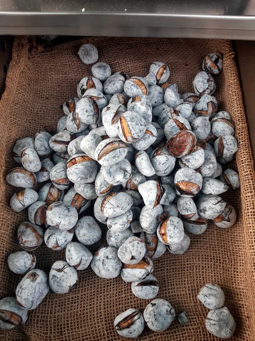 Magustos, Carrinho de Castanhas Assadas, Serviços.