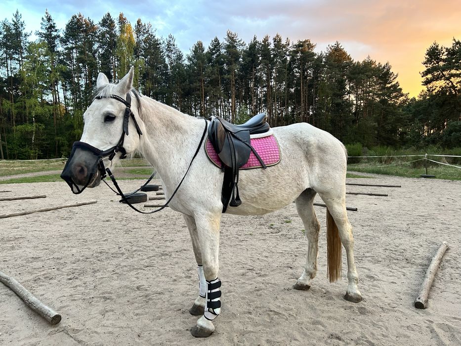 Ochraniacze neoprenowe