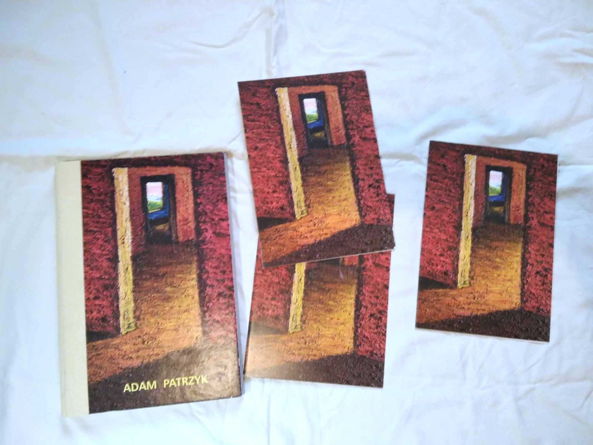 Adam Patrzyk Bezsenność Insomnia - katalog, album, malarstwo polskie