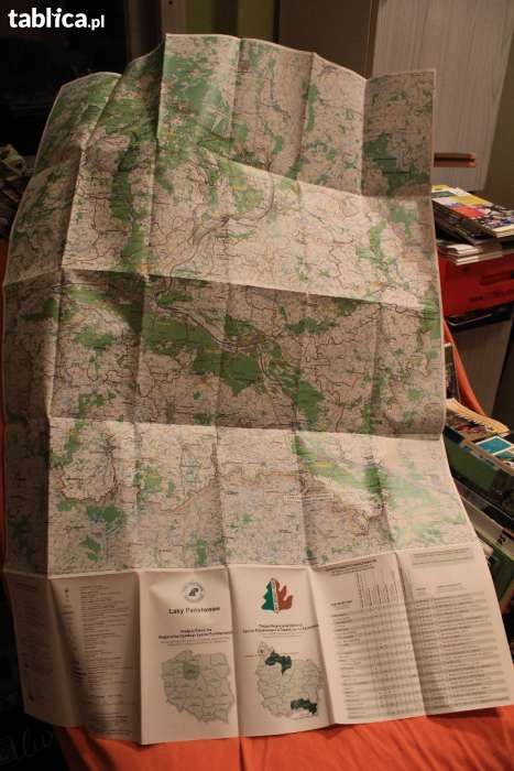 Lasy Kujawsko-Pomorskie mapa-317
