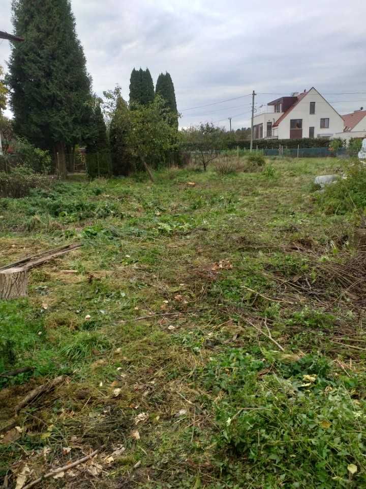 Uslugi ogrodnicze Wywóz galezi Nasadzenia drzew transport karczowanie