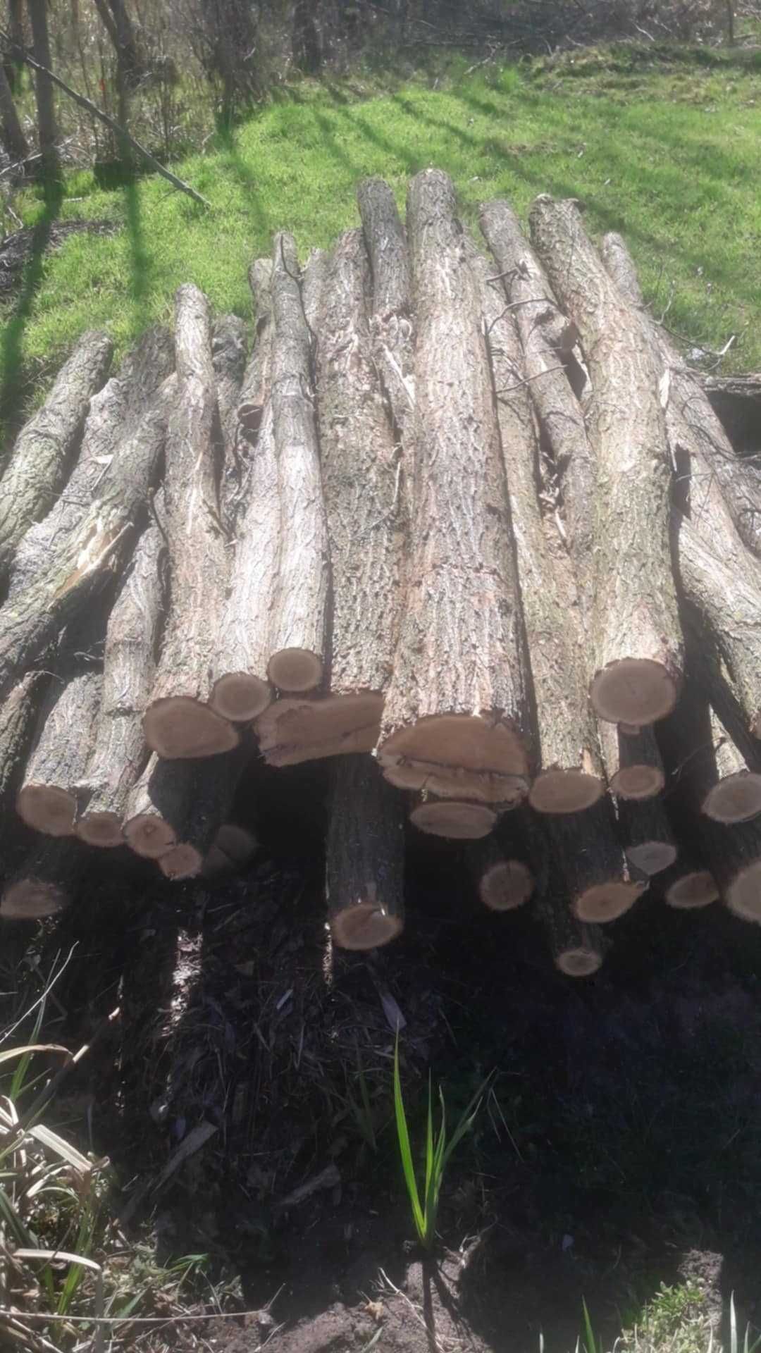 Słupki ogrodzeniowe akacjowe