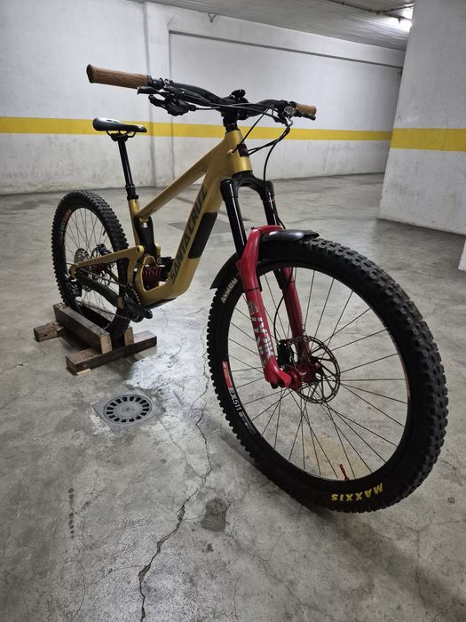 Santa cruz bronson