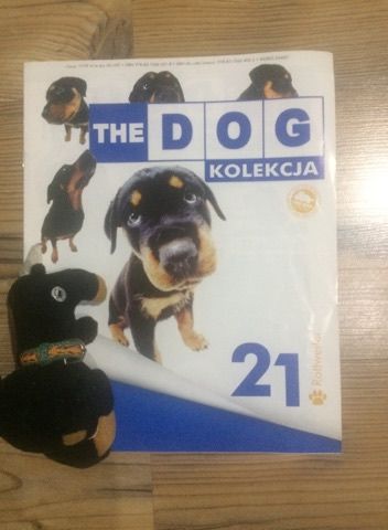 The Dog numer 21