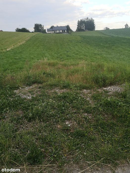 Działka budowlano rolna Sieborowice  na wzniesieniu