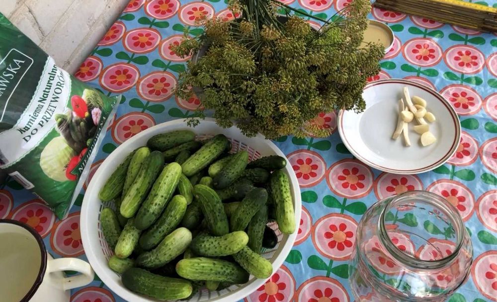 Domowe ogórki kiszone 5l OSTATNIE BUTELKI!