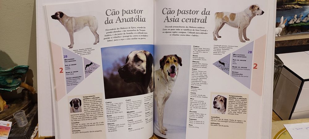 Enciclopédia do cão