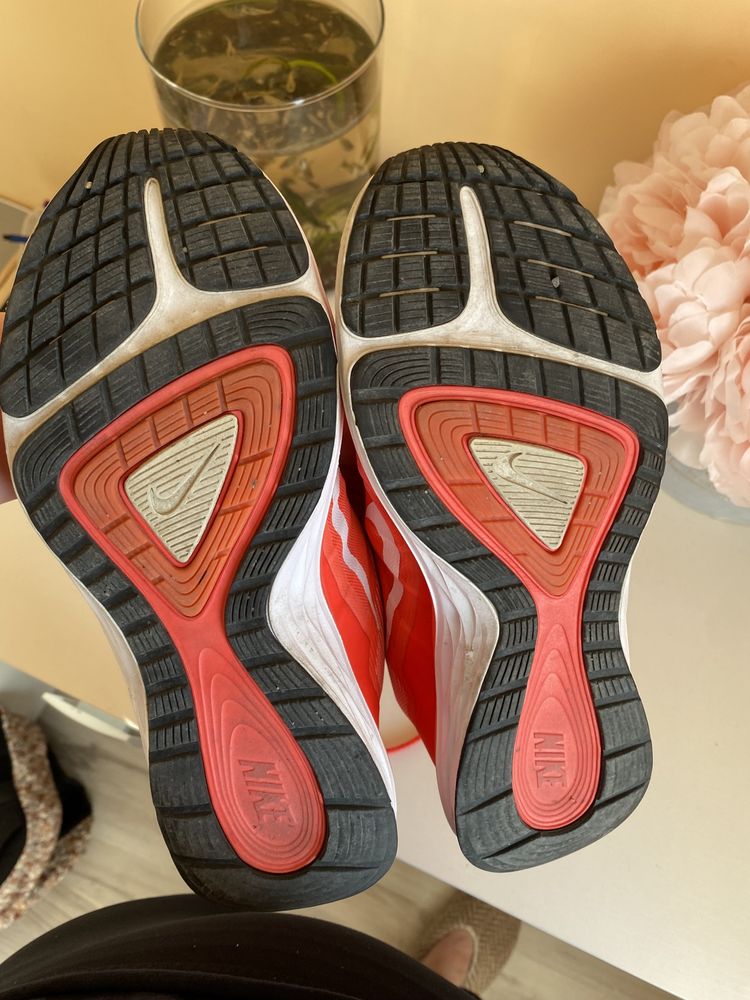 Buty nike dual fusion