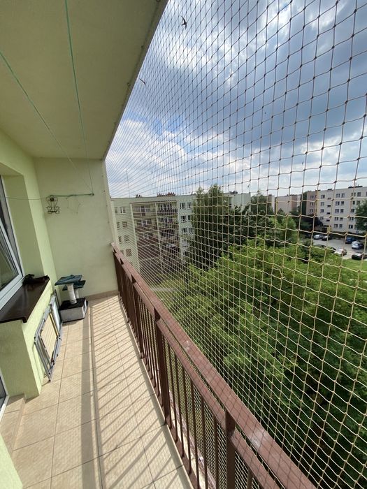 Montaż siatki na balkon dla kota/ przeciwko ptakom