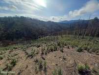 Terreno Rustico com 6220m2 Sobrainho da Ribeira-Sarzedas