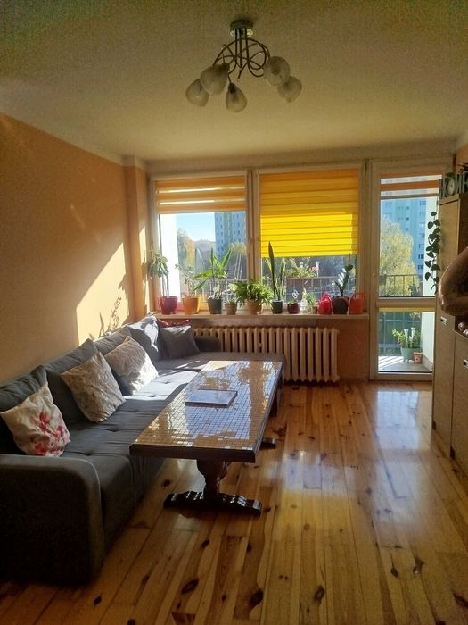 Przestronne mieszkanie Gliwice os. Kopernika 3 pokoje 77 m2