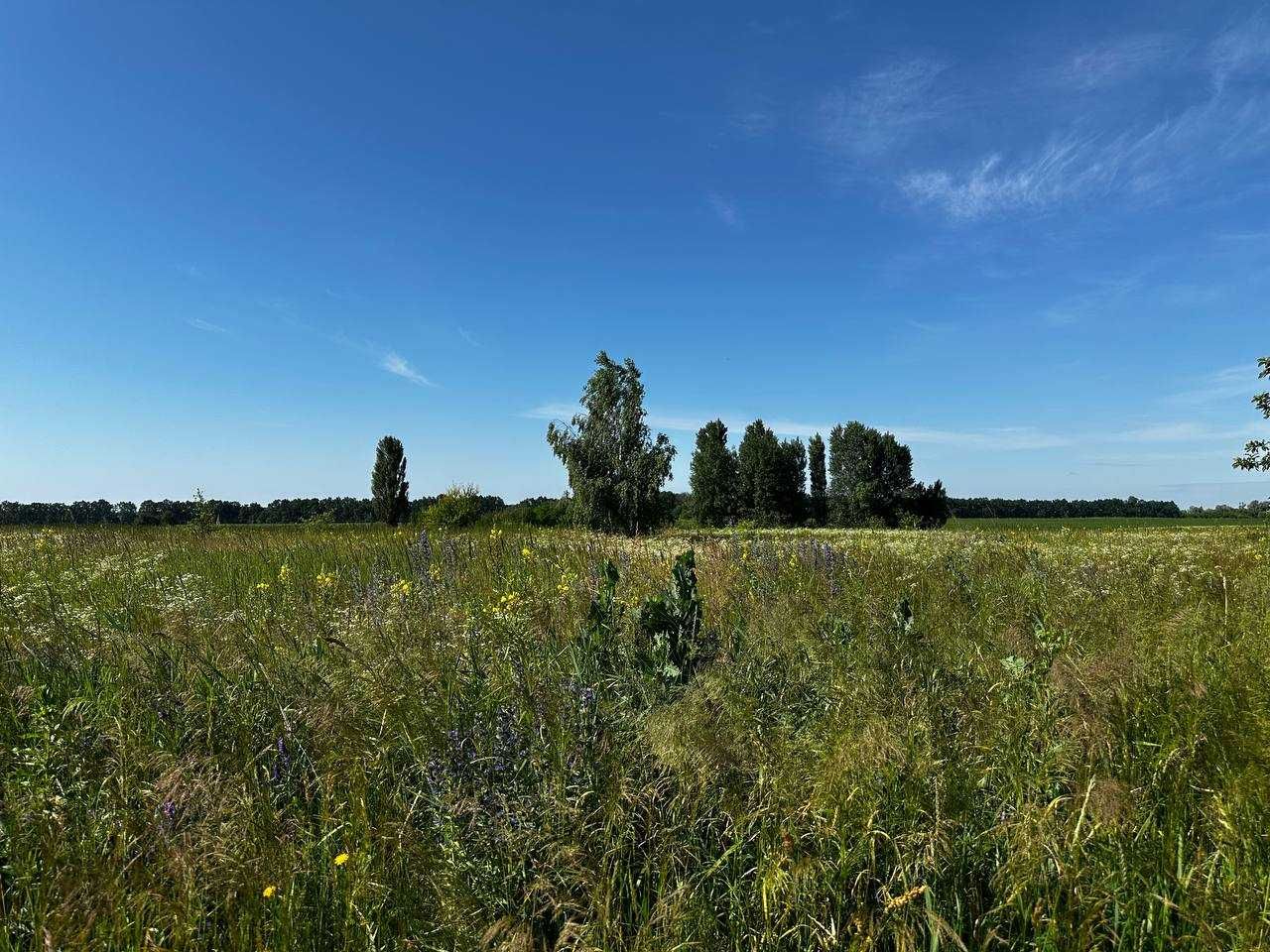 Продаж ділянки 7,7сот під забудову зі світлом. Зручний під'їзд.ID:639