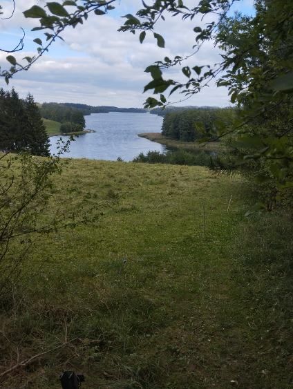 Działka nad jeziorem, podlaskie, suwalszczyzna, Wołownia