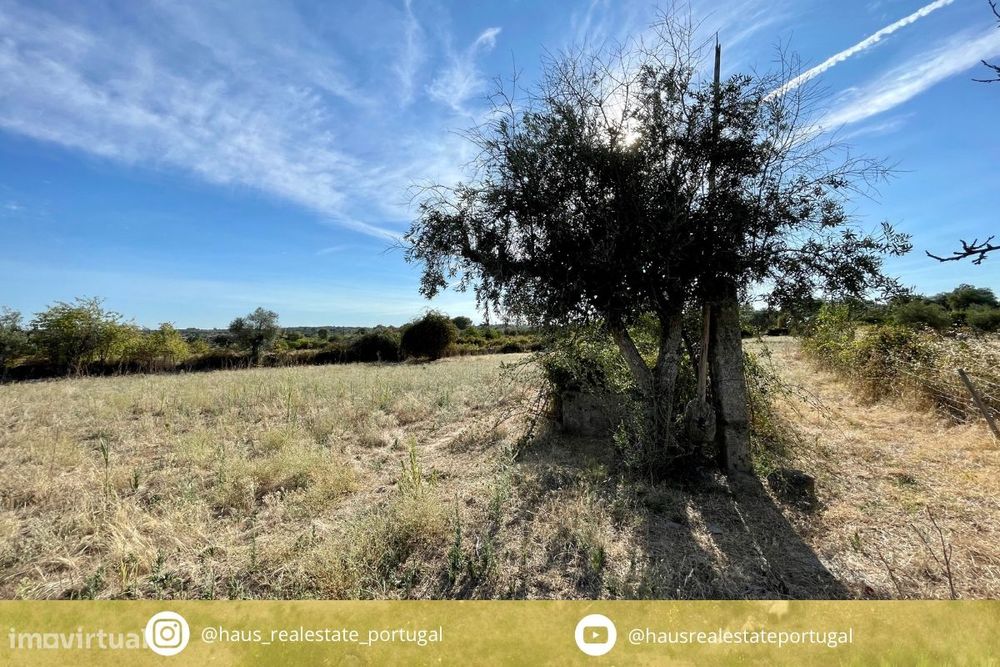 Terreno Rústico  Venda em Escalos de Cima e Lousa,Castelo Branco