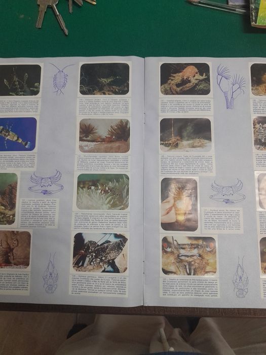 Cadernetas completas