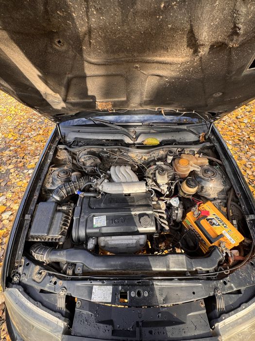 Нексія на впевненому ходу