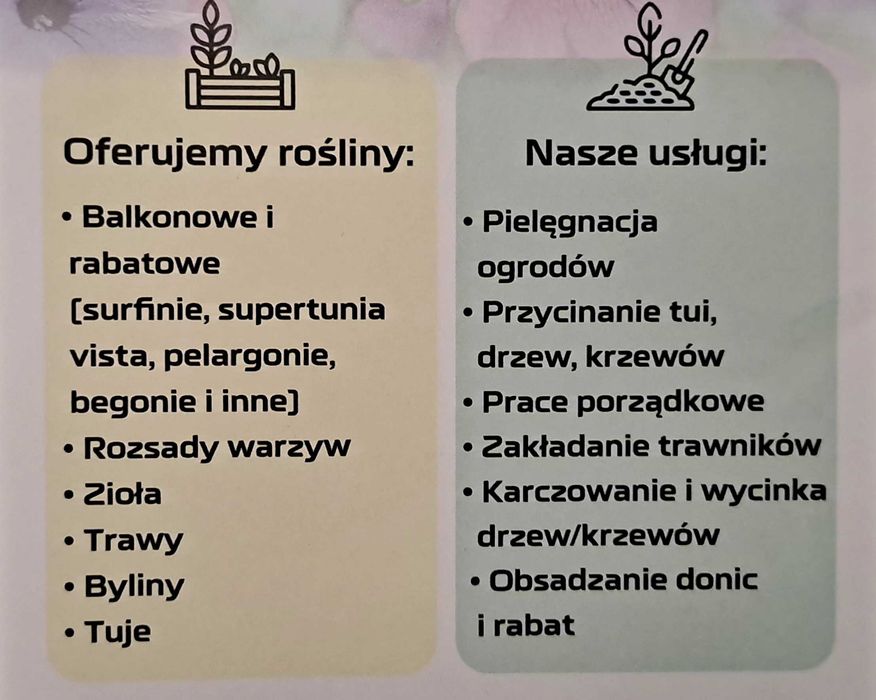 Przycinanie tuji drzew krzewów pielęgnacja zieleni wycinka nasadzenia