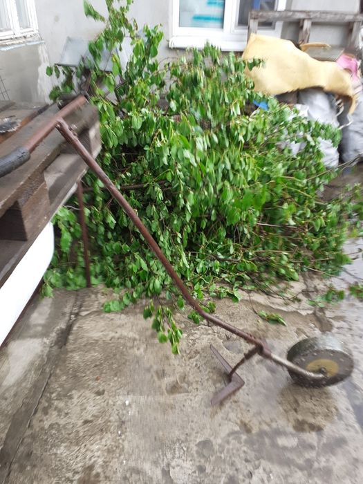 Плуг  , окучувач для картоплі.