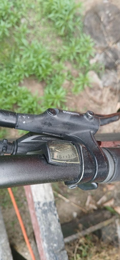 Rower MTB 29,25 Cali Univega