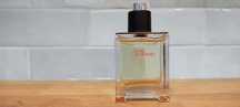 Terre d Hermesa EDT ~48/50