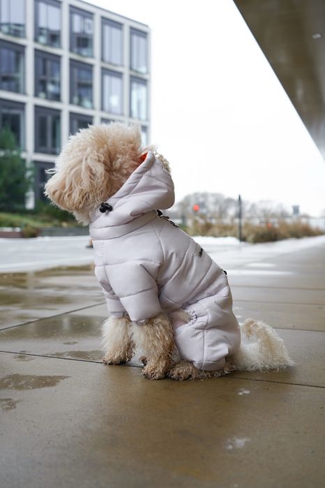 Zimowy kombinezon da psa, ręcznie szyty (szary, lilowy)