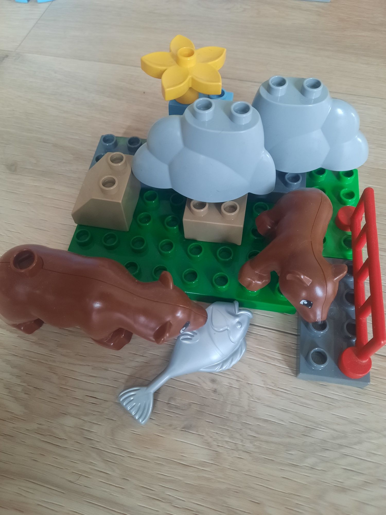LEGO Duplo ZOO w dużym mieście 5635