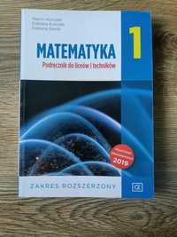 Matematyka rozszerzona podręcznik do klasy 1