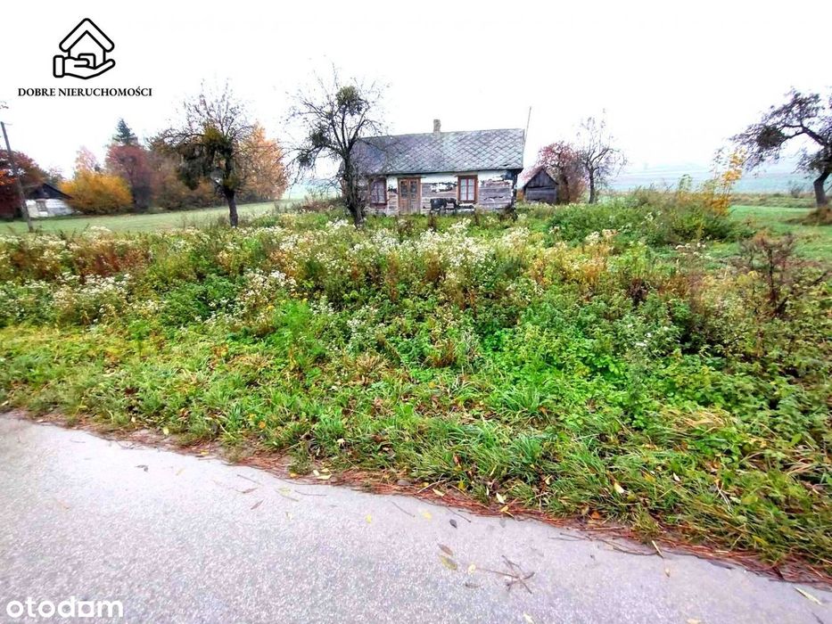 8222 m2 - z budynkami przy drodze asfaltowej !