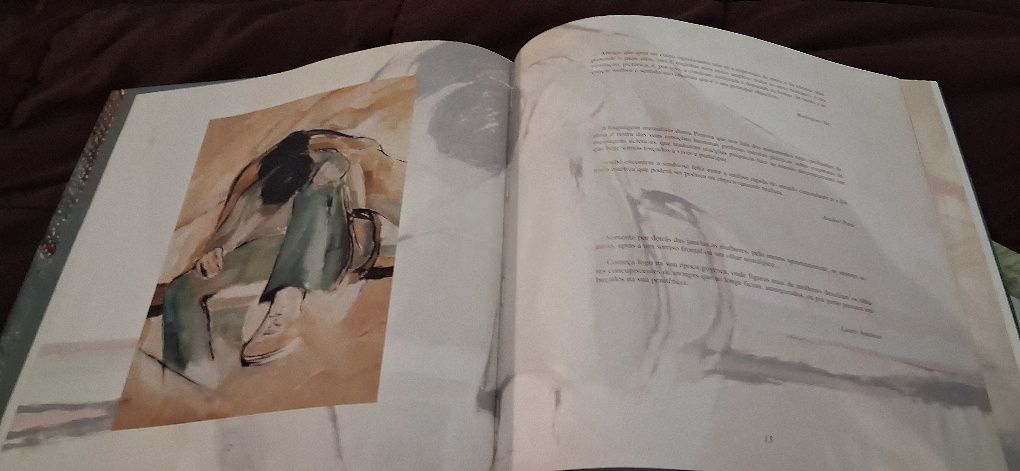 Livro pintura Manuela Pinheiro