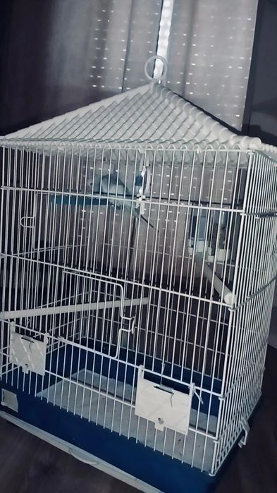 Viveiro+acessórios e comida