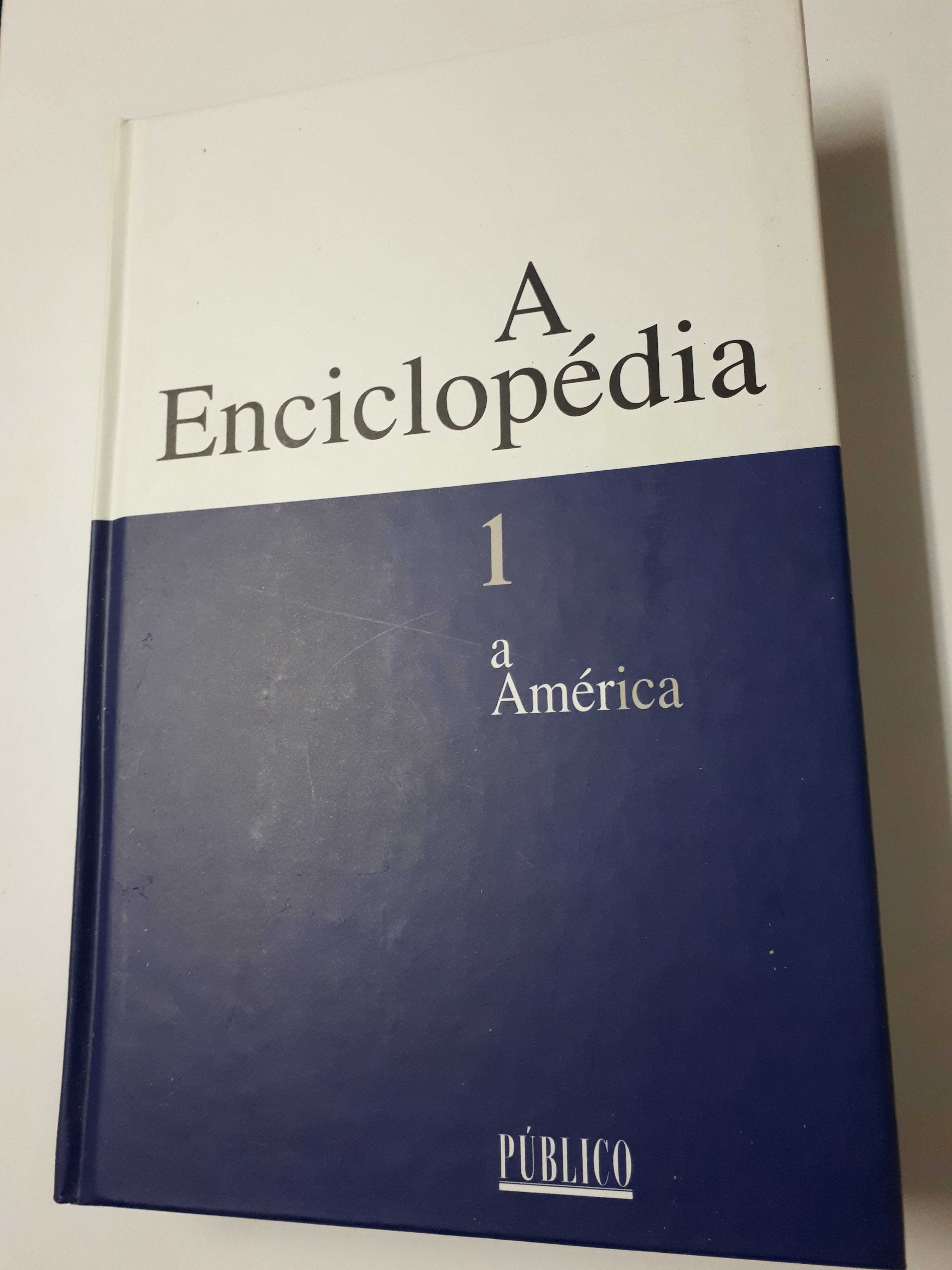 A Enciclopédia do Público 23 volumes NOVA